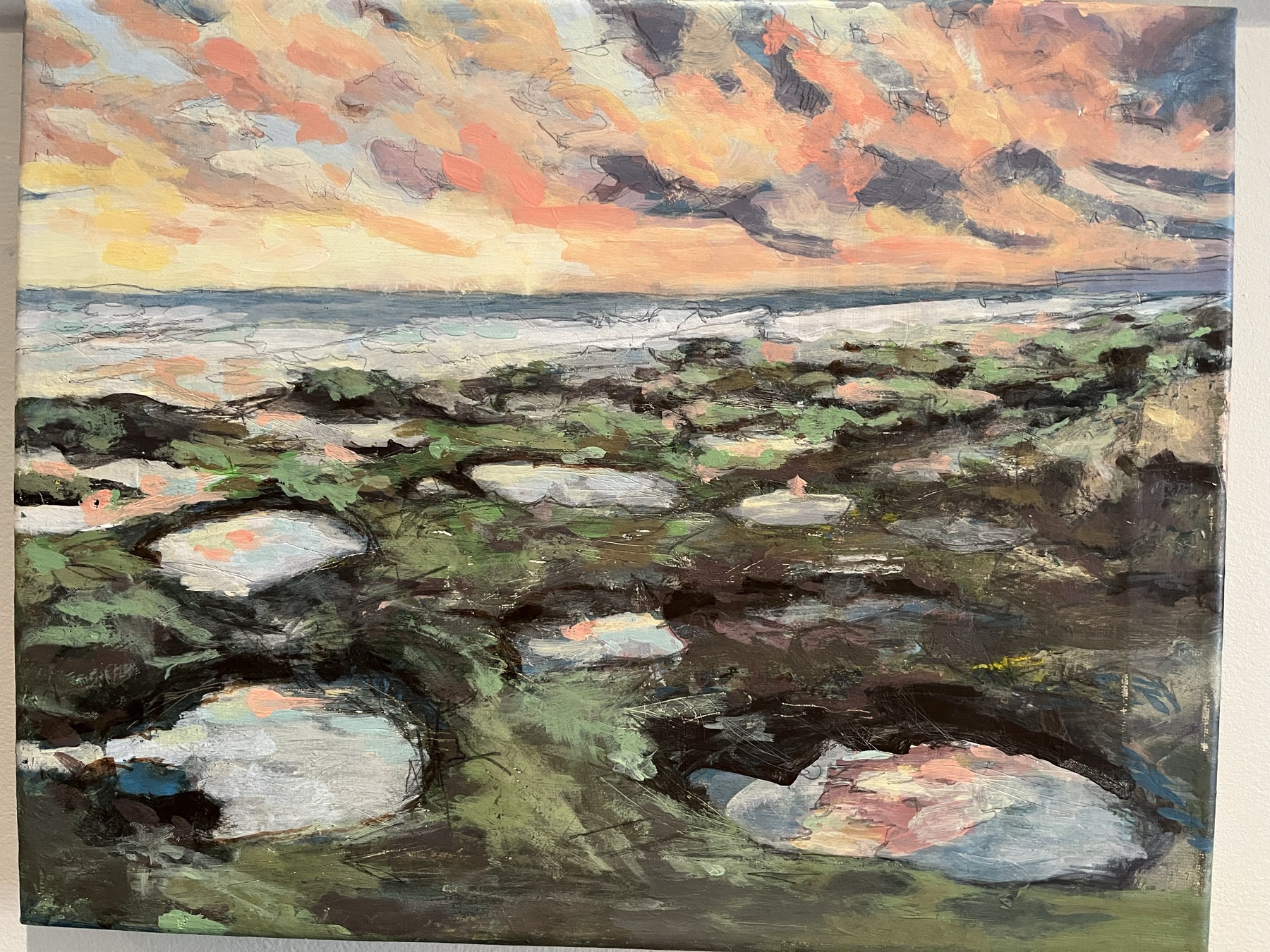 Ocean tide pools with vivid unexpected color